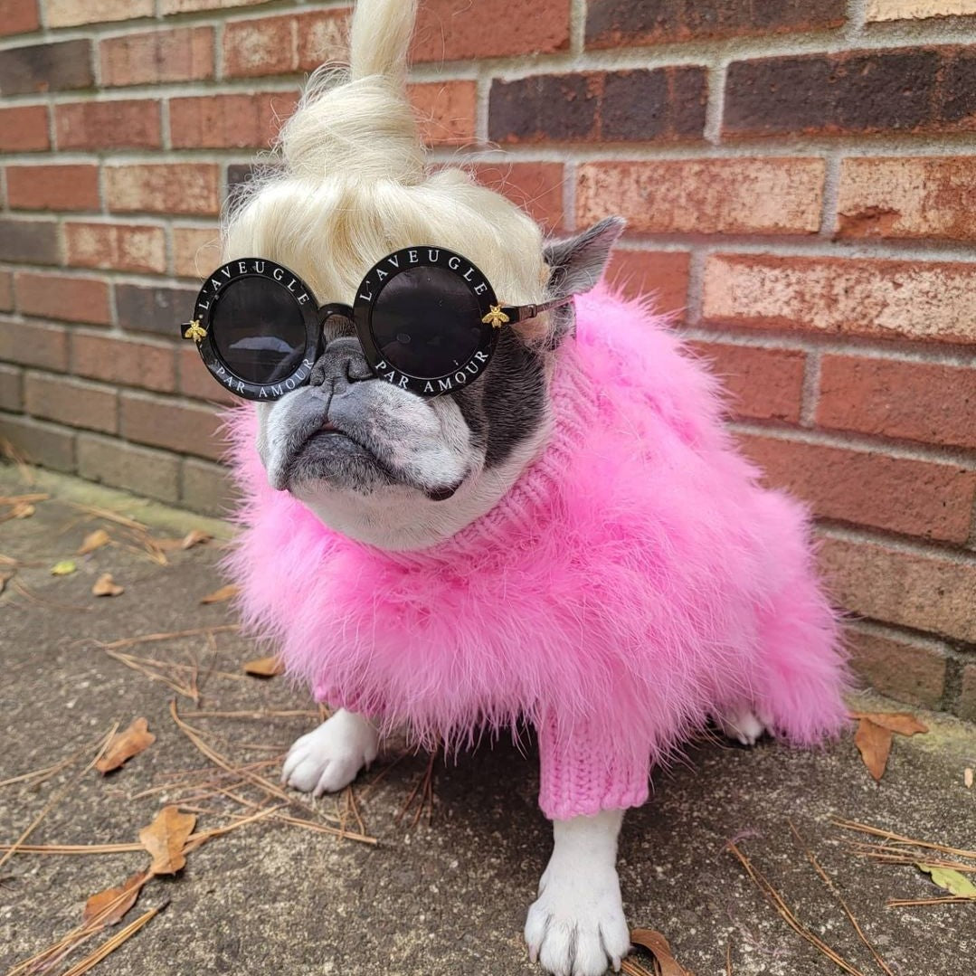 Dog wearing a pink fluffy sweater, round black sunglasses and a light-colored hairpiece beside a brick wall