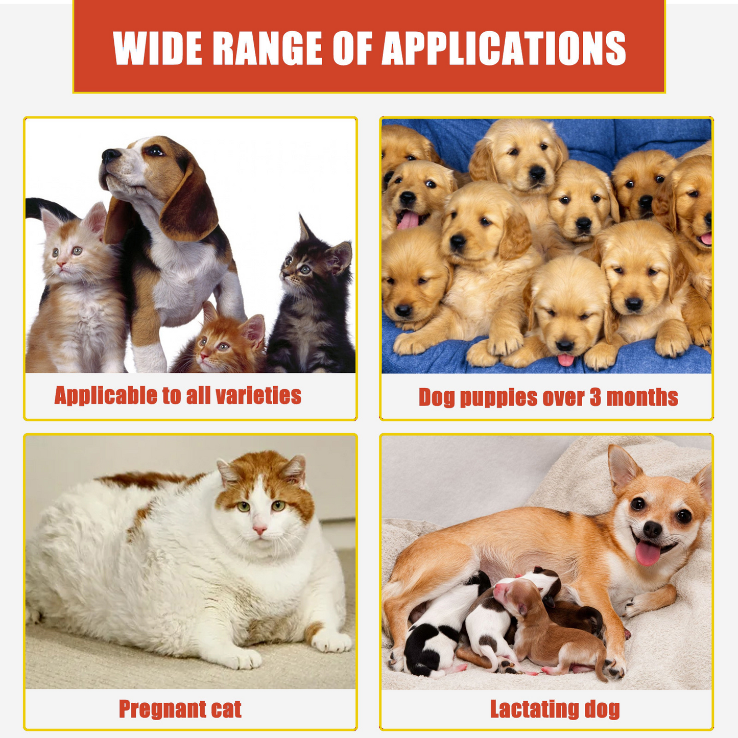 Pet Hemostatic Styptic Wound Healing Powder