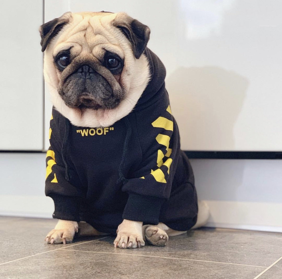 Pug wearing a black WOOF hoodie with yellow sleeve graphics