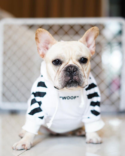 Light colored dog seated in a white WOOF hoodie with black sleeve graphics

