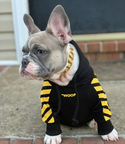 Dog sitting on steps wearing a black WOOF hoodie with yellow sleeve graphics