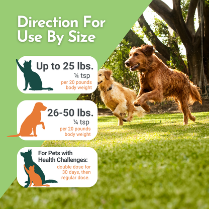 Holistic Total Body Support – Multivitamin & Glandular Support for Cats and Dogs