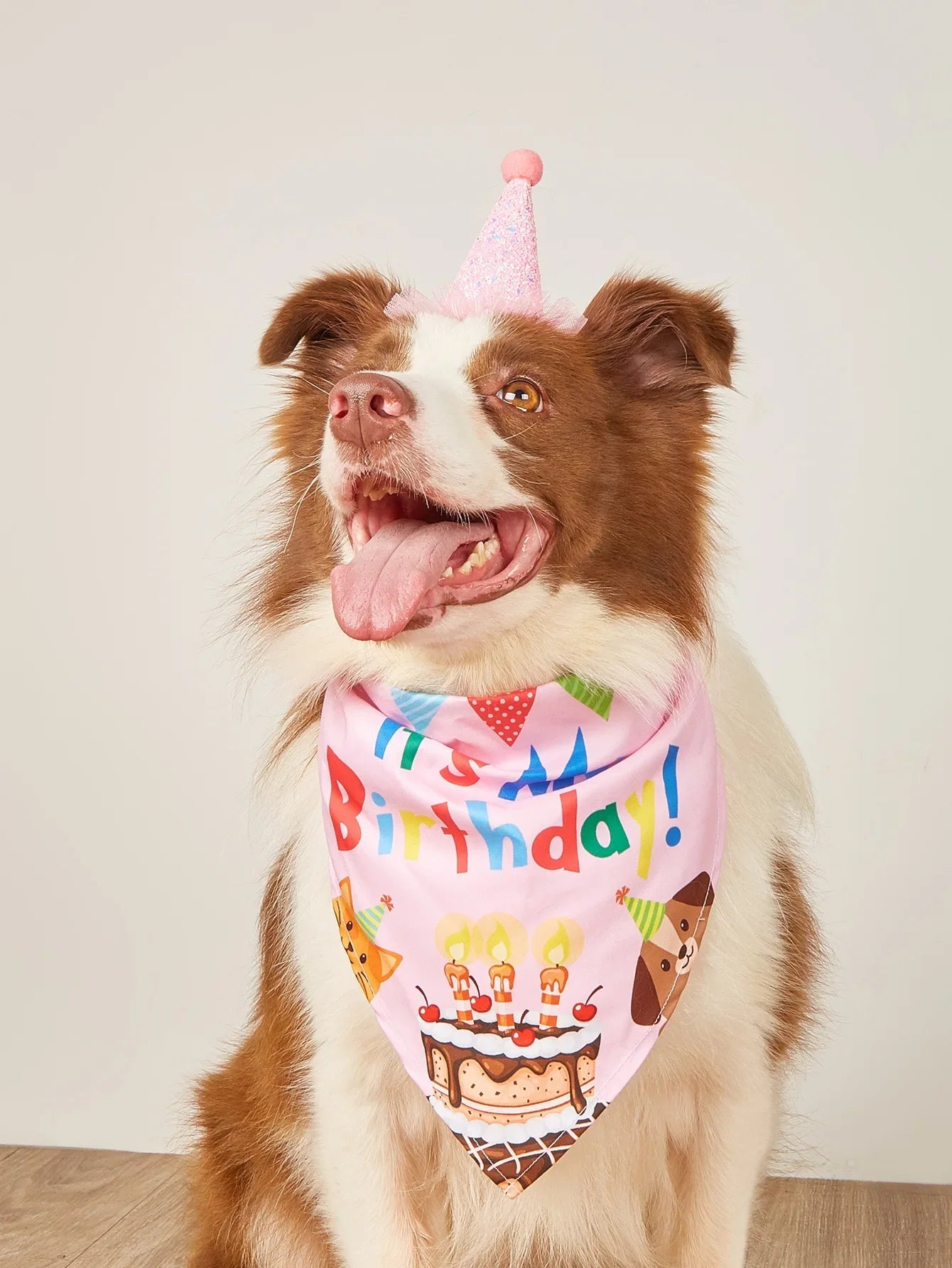 Pet Birthday Party Costume Set with Hat & Bandana
