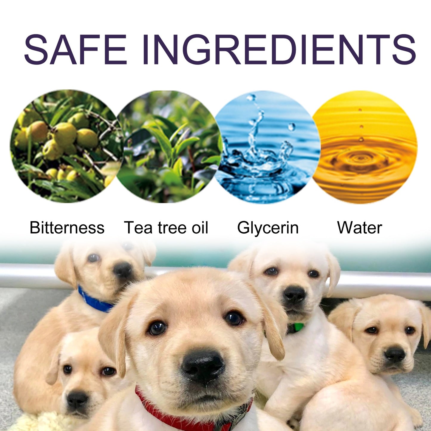 Anti-Chewing Bitter Deterrent Spray for Pets