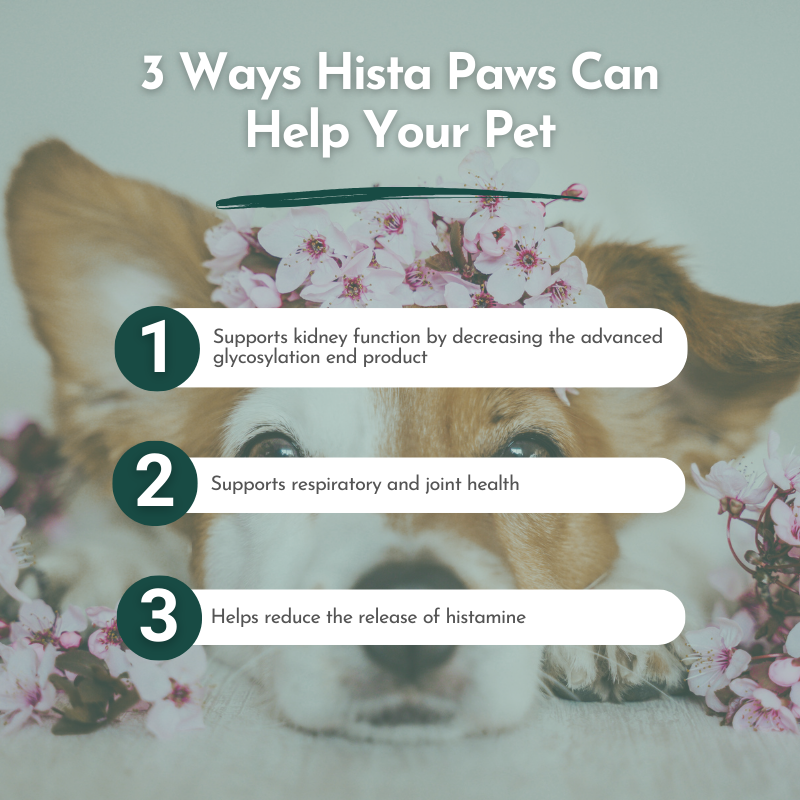 Hista Paws – with Quercetin for Cats and Dogs