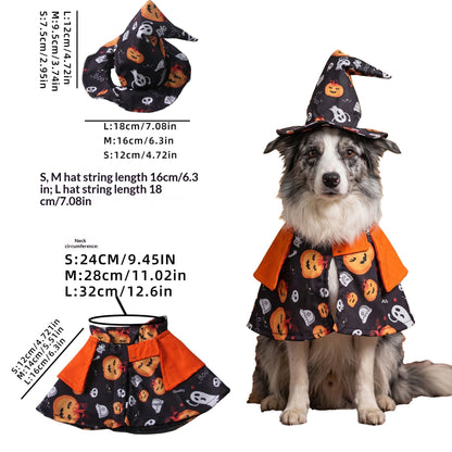 Dog wearing a black Halloween-print cape and matching pointed hat beside size measurements