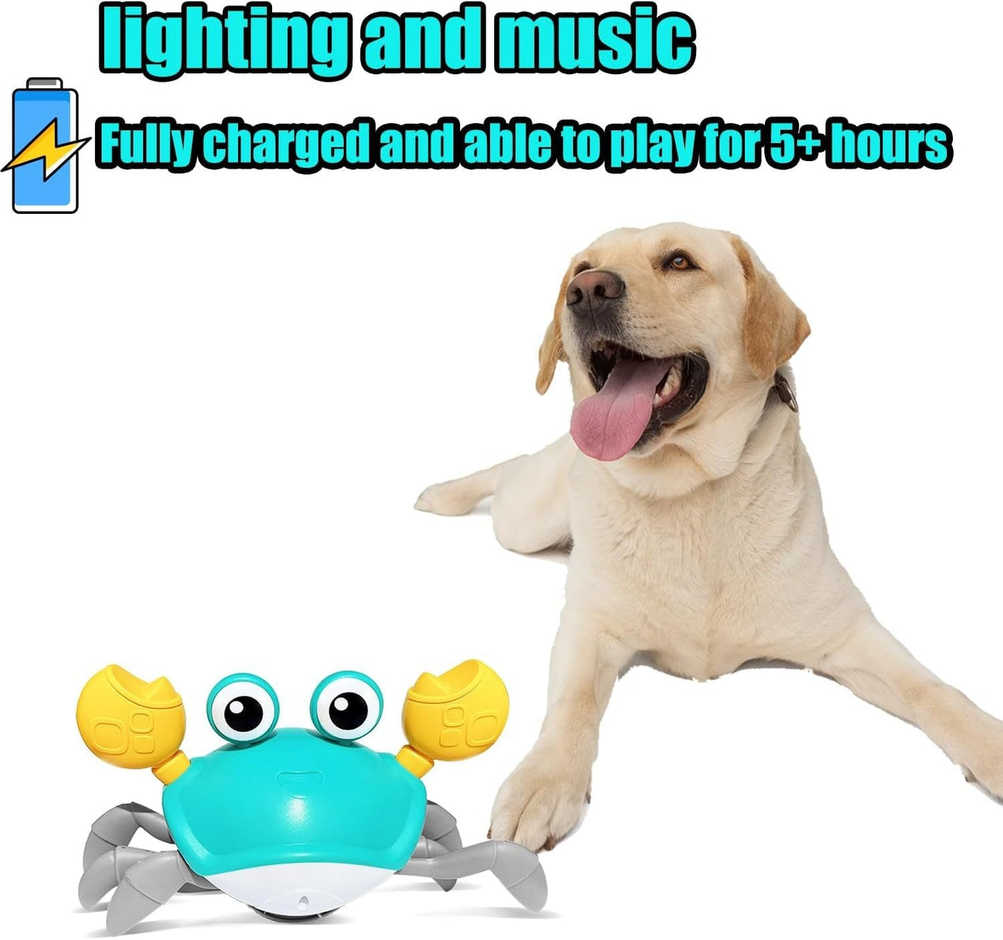 Interactive Crawling Crab Toy with Music & Lights
