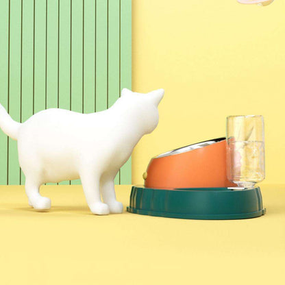 Carrot Design Tilted Double Pet Feeding Bowl