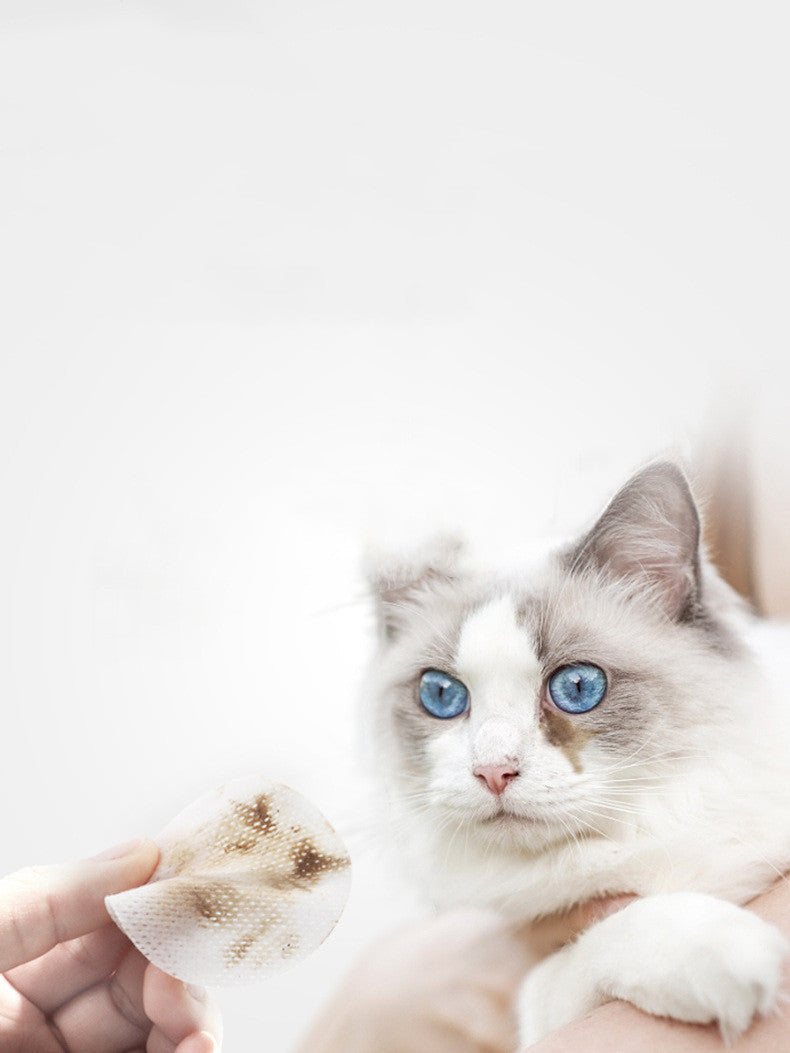 Pet Cleaning Wet Wipes for Cats & Dogs