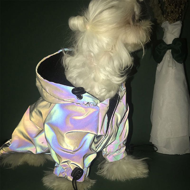 White dog wearing an iridescent hooded jacket with adjustable cord toggles