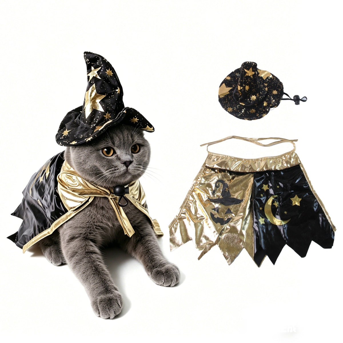 Cat wearing a cape with moon and star patterns and a matching pointed hat