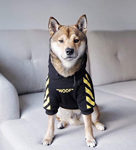 Dog sitting on a sofa in a black WOOF hoodie with yellow sleeve graphics