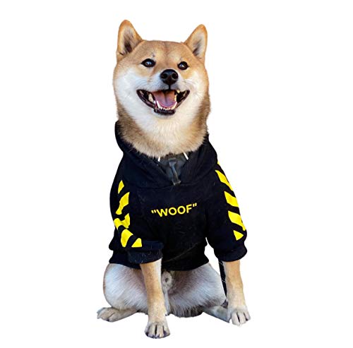Front view of seated dog wearing a black WOOF hoodie with yellow graphics