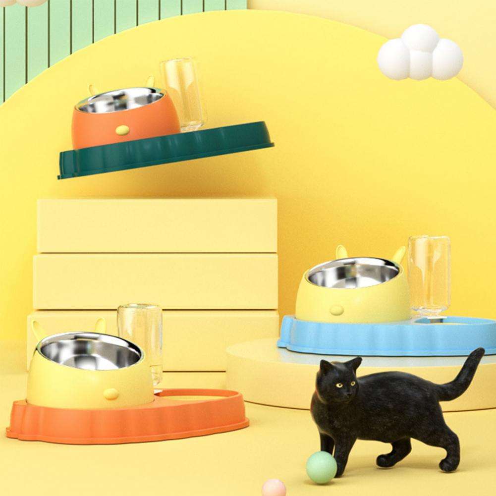 Carrot Design Tilted Double Pet Feeding Bowl