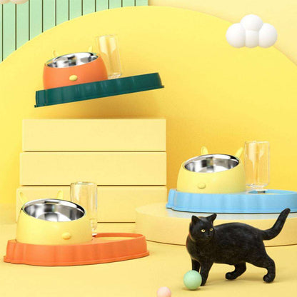 Carrot Design Tilted Double Pet Feeding Bowl