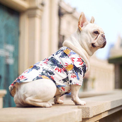 White dog wearing a white pineapple print pet shirt while sitting outdoors