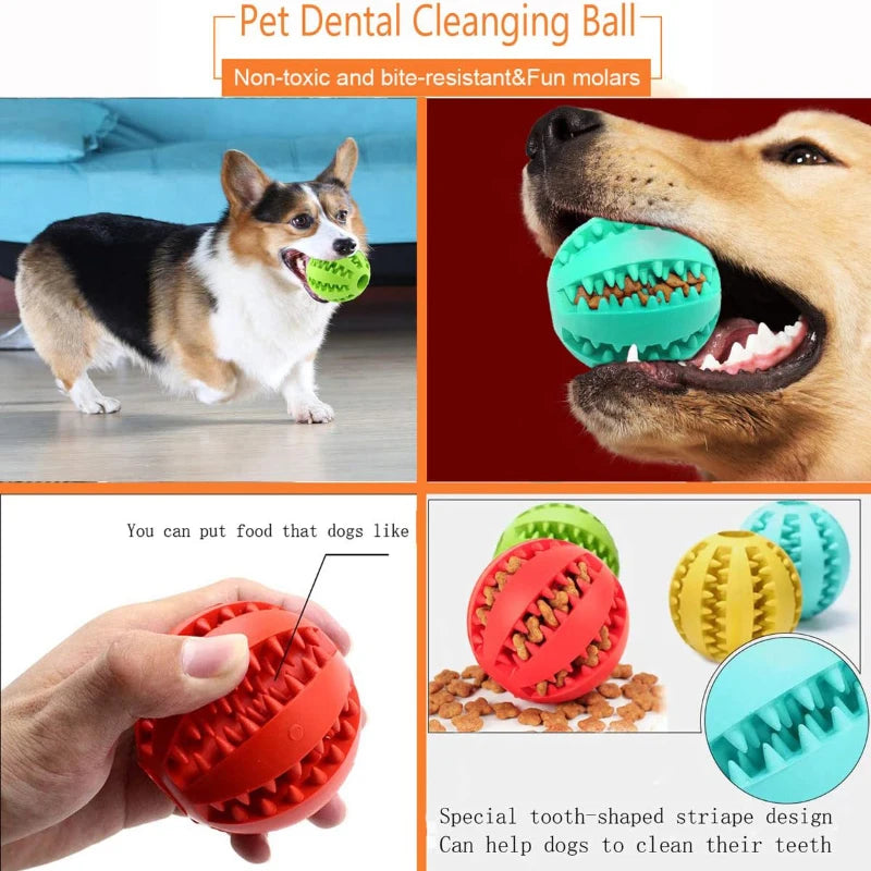 Interactive Rubber Chew Ball Toy for Cats & Dogs