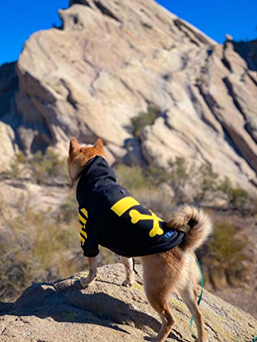 Rear view of dog outdoors wearing a black hoodie with yellow crossed bone graphics