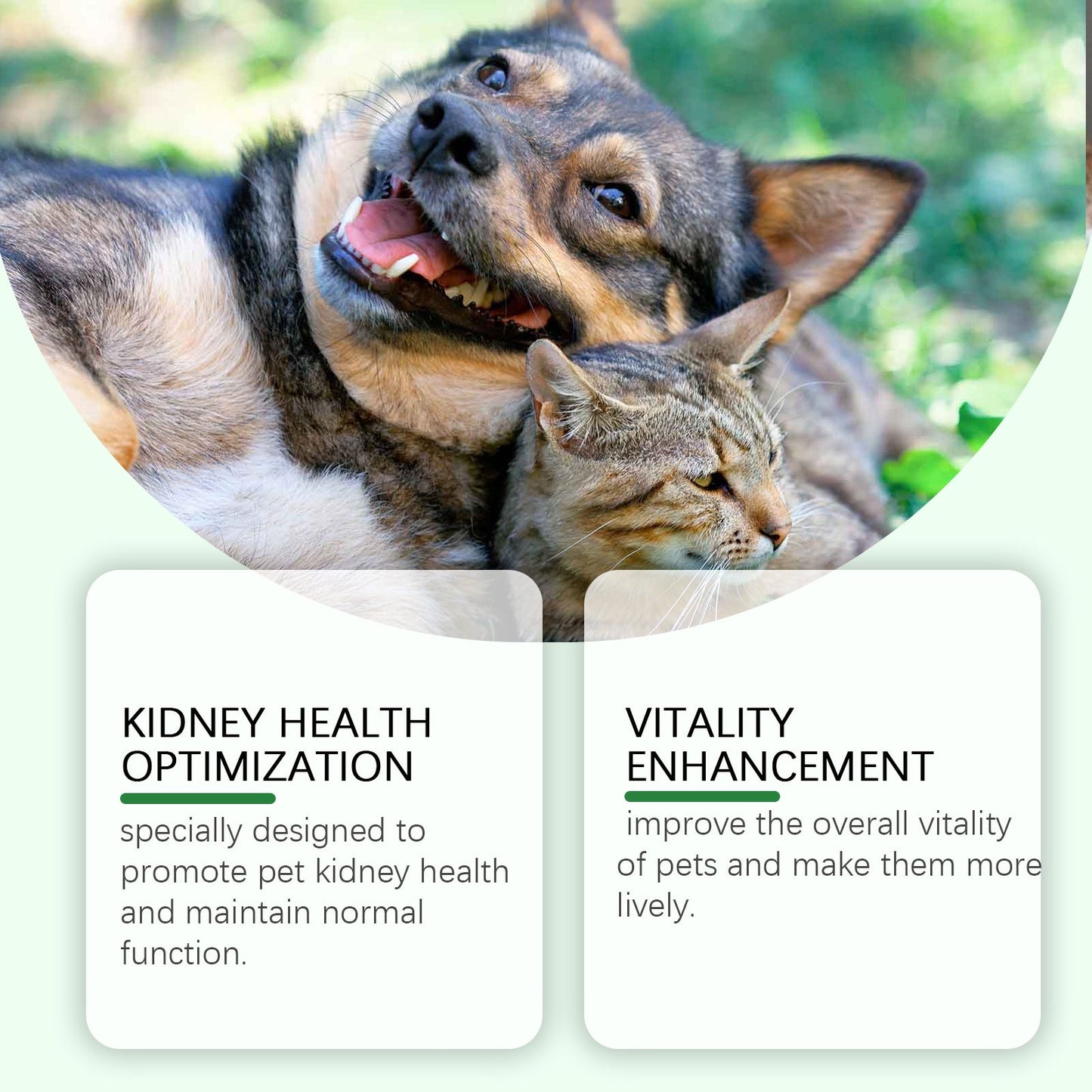 Gentle Pet Health Care Supplement