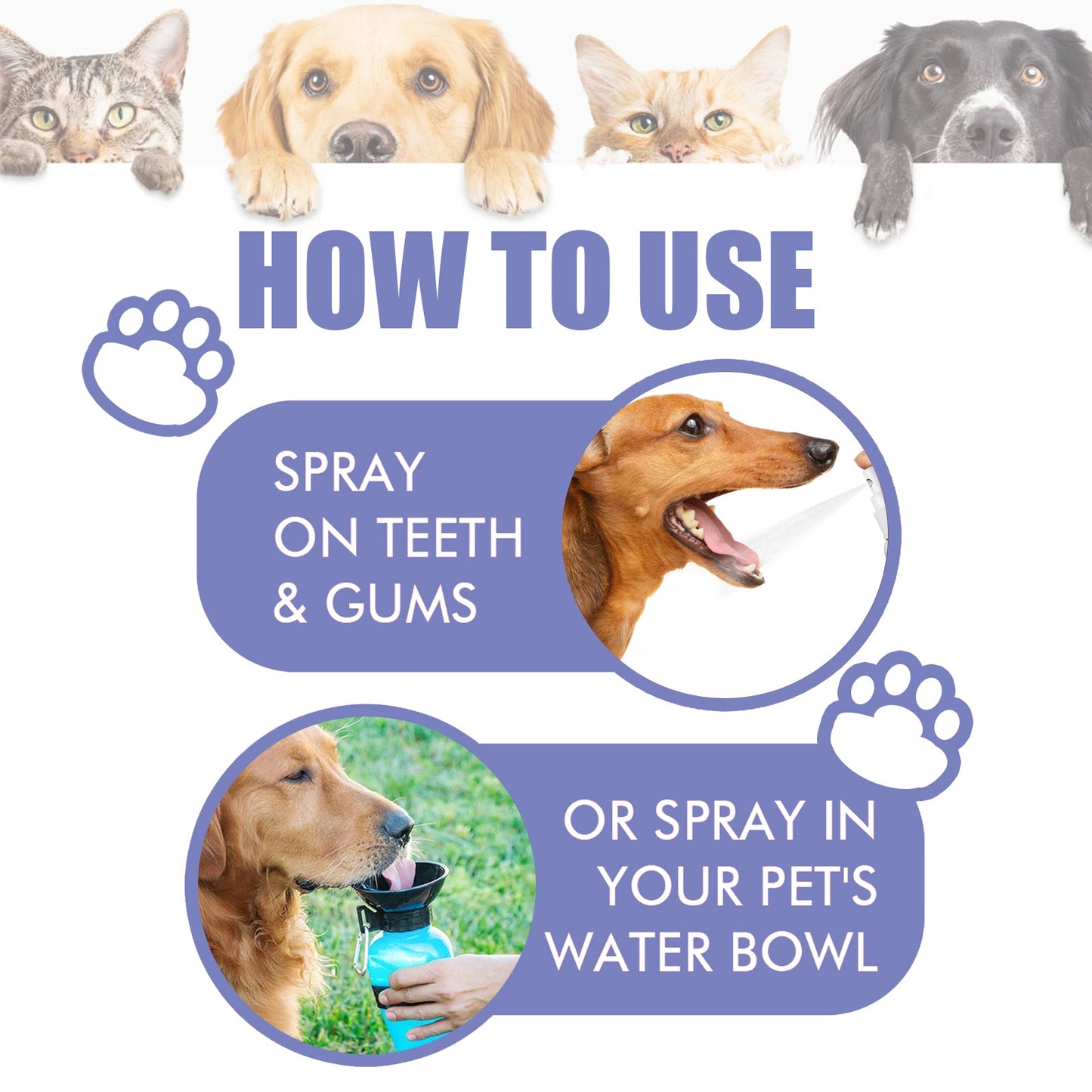 Pet Dental Mouth Spray for Cats & Dogs- Fresh Breath & Plaque Remover