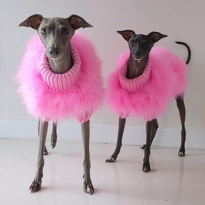 Two slender dark-coated dogs standing indoors in pink fluffy turtleneck sweaters