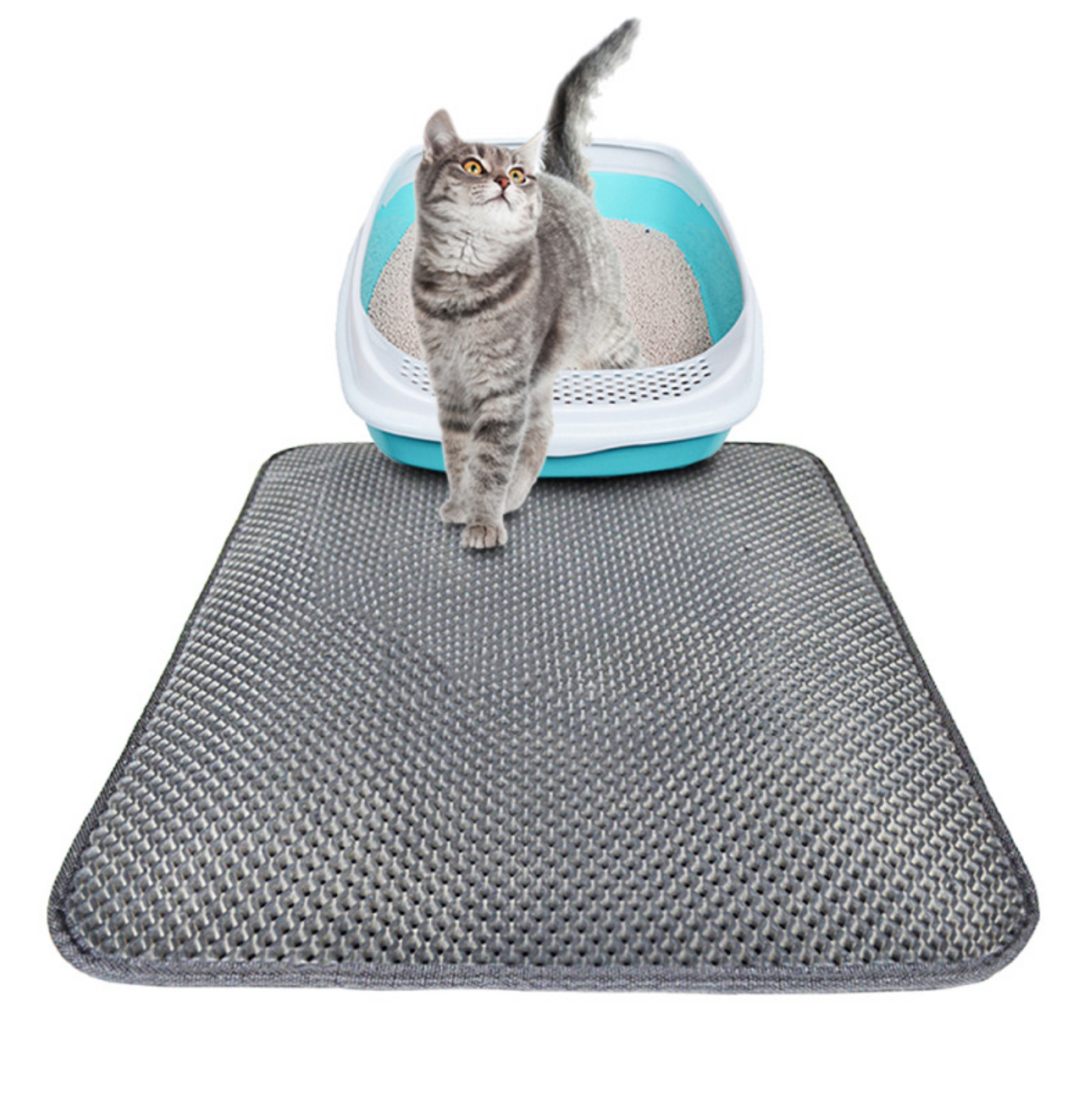Double Layer Cat Litter Trapping Mat