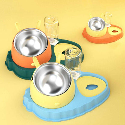 Carrot Design Tilted Double Pet Feeding Bowl
