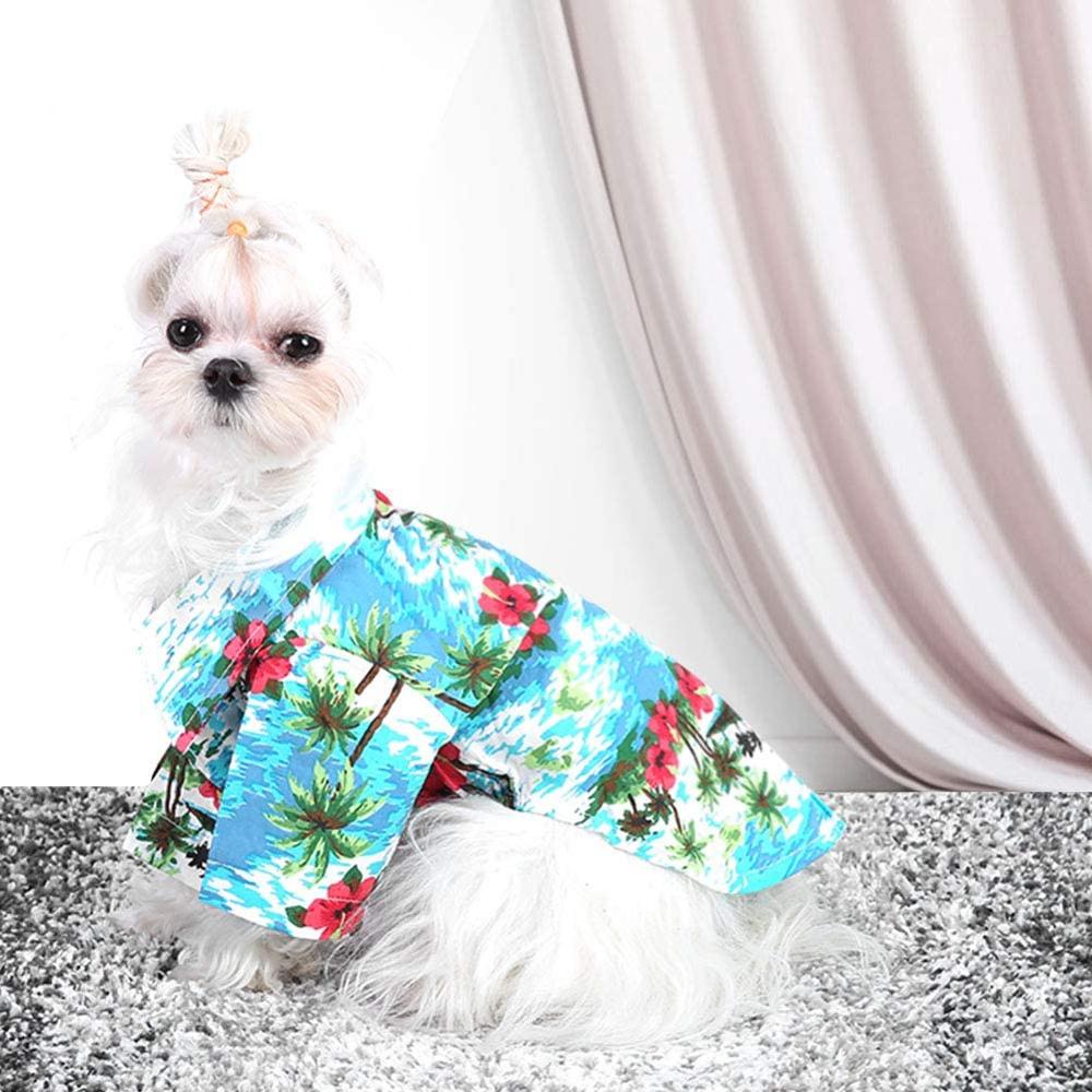 Small white dog wearing a blue tropical shirt with palm trees and red flowers