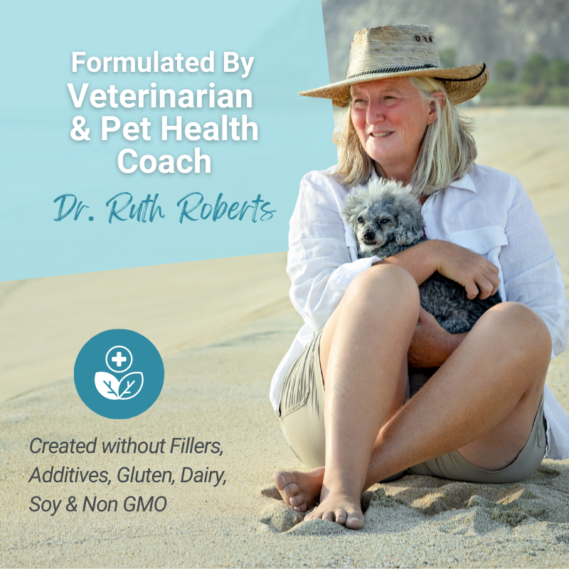 Hista Paws – with Quercetin for Cats and Dogs