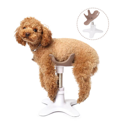 Shower Grooming Table with Dryer Bracket for Small & Medium Pets