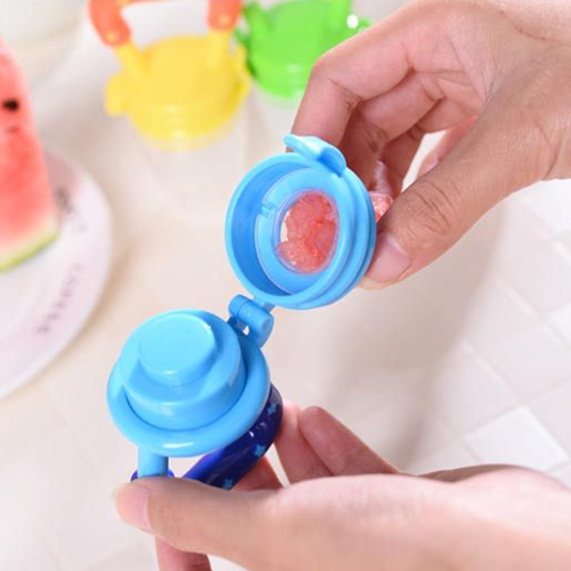 Fresh Food & Fruit Feeder Nibbler Pacifier for Baby