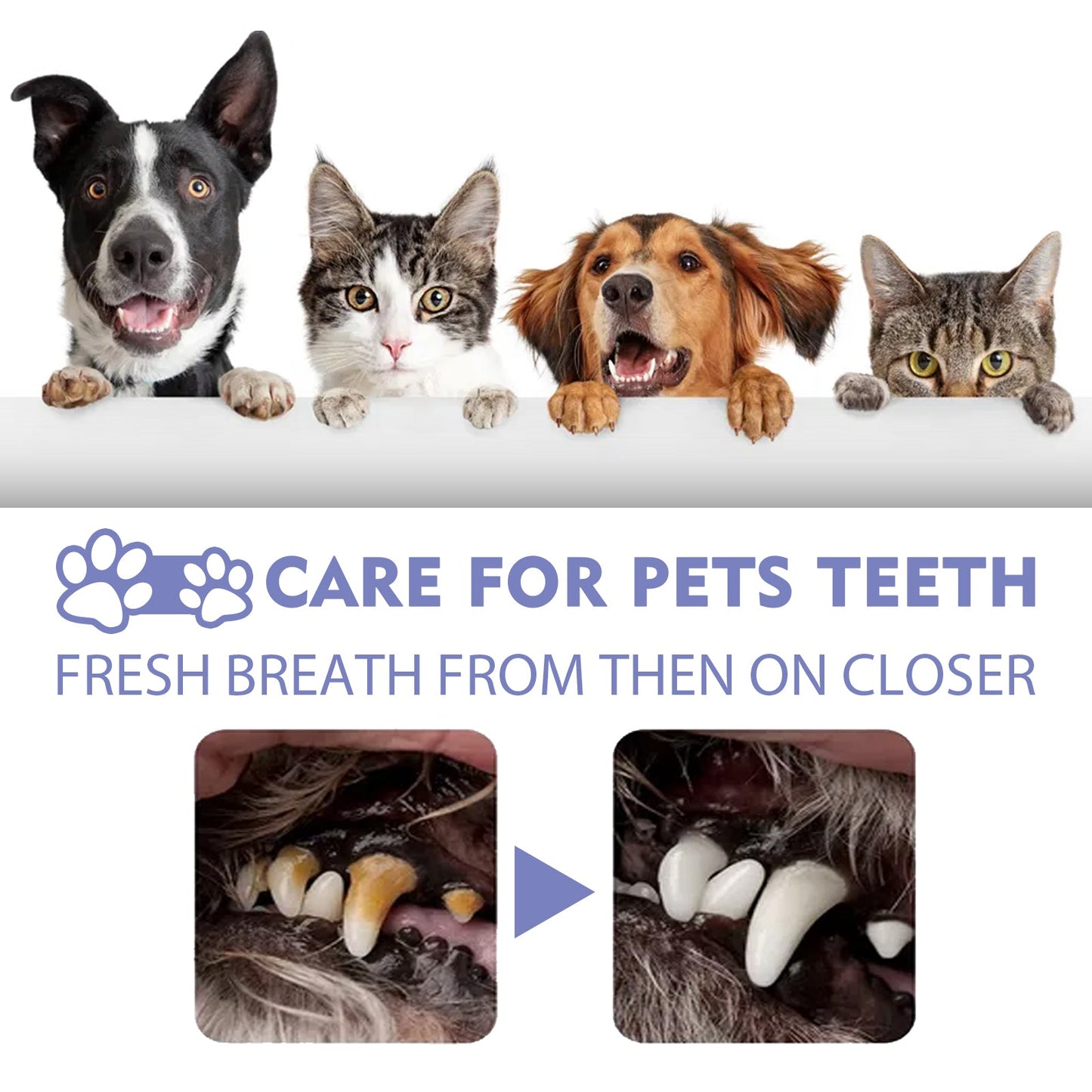 Pet Dental Mouth Spray for Cats & Dogs- Fresh Breath & Plaque Remover