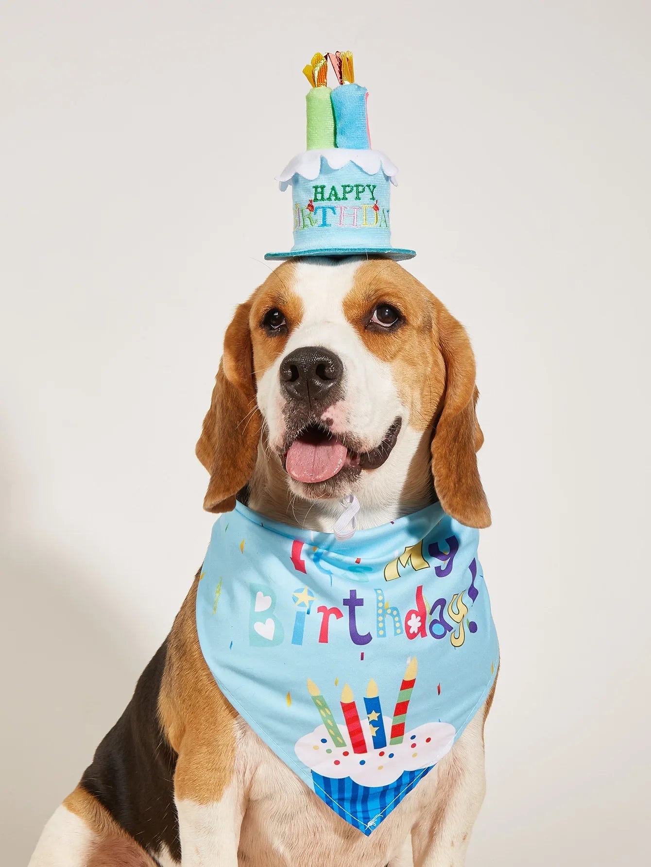 Pet Birthday Party Costume Set with Hat & Bandana