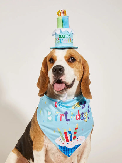 Pet Birthday Party Costume Set with Hat & Bandana