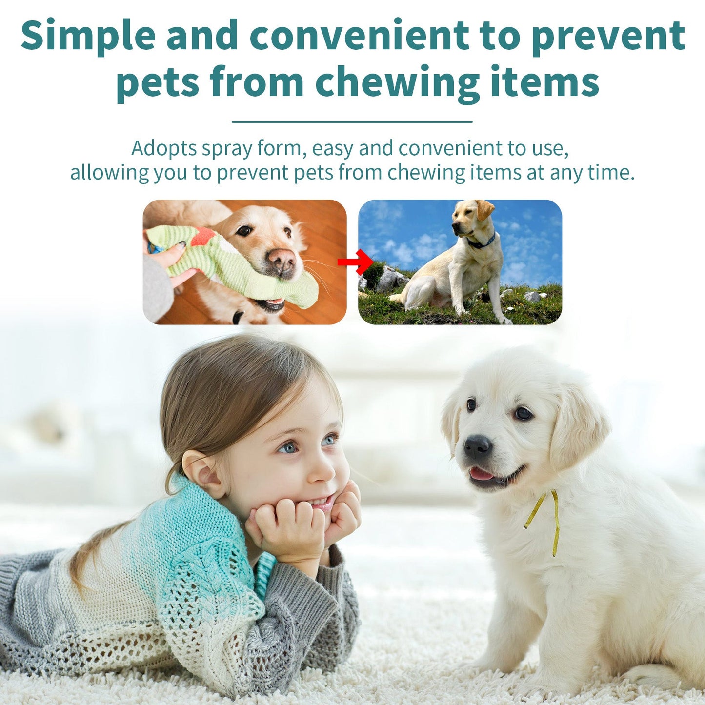Anti-Chew & Scratch Behavior Modification Spray for Pets