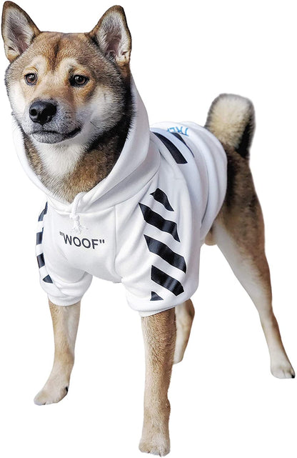 Dog standing in a white WOOF hoodie with black sleeve graphics
