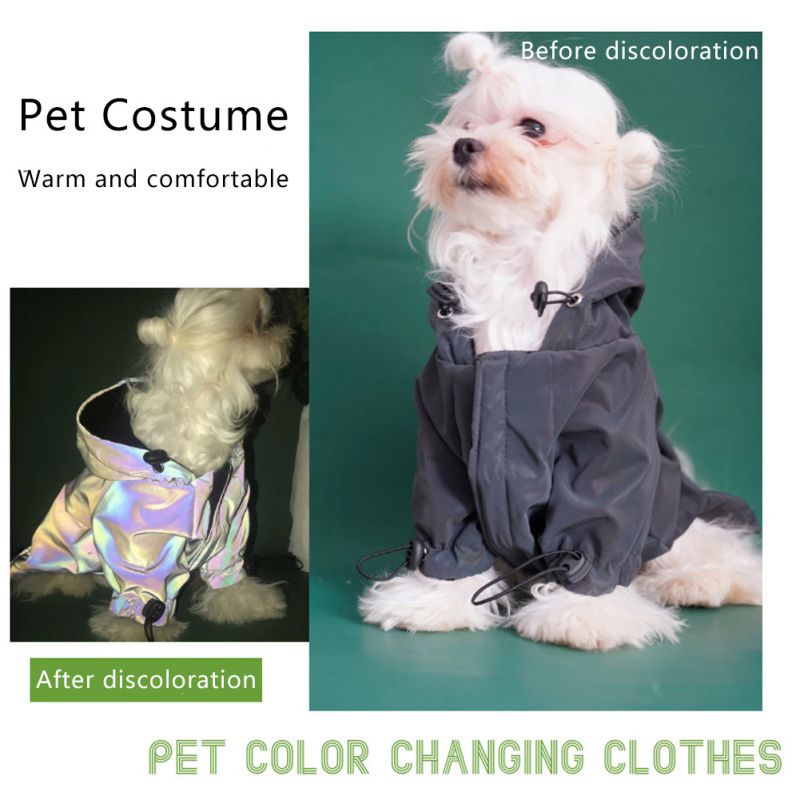 White dog wearing a hooded jacket shown with dark and bright iridescent finishes