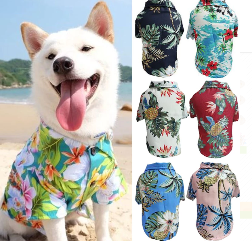 White dog wearing a colorful floral shirt at the beach beside six tropical pet shirt designs