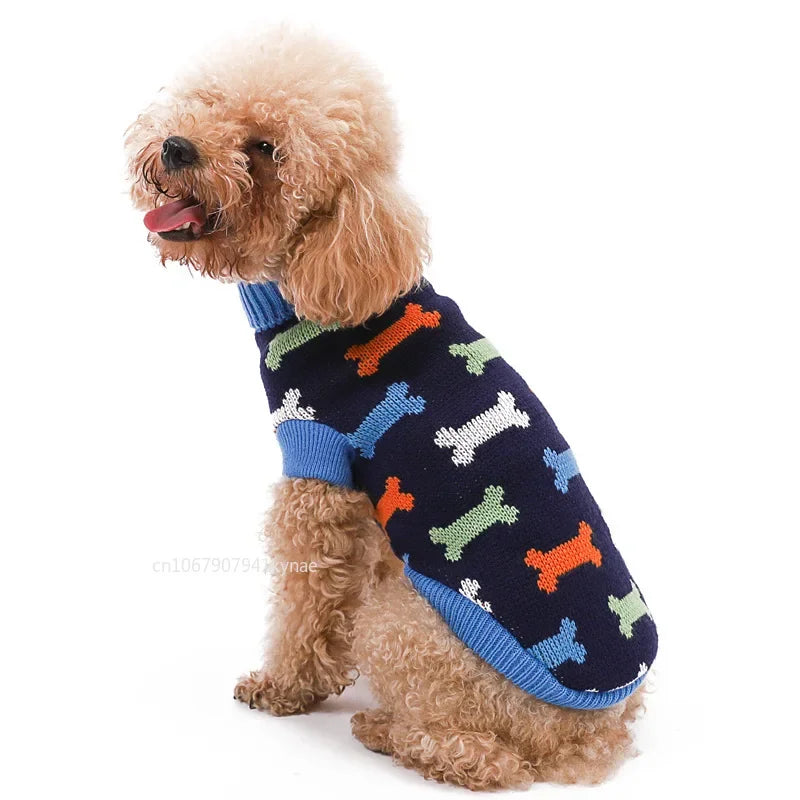 Small curly-coated dog wearing a navy knit sweater with multicolored bones and blue trim