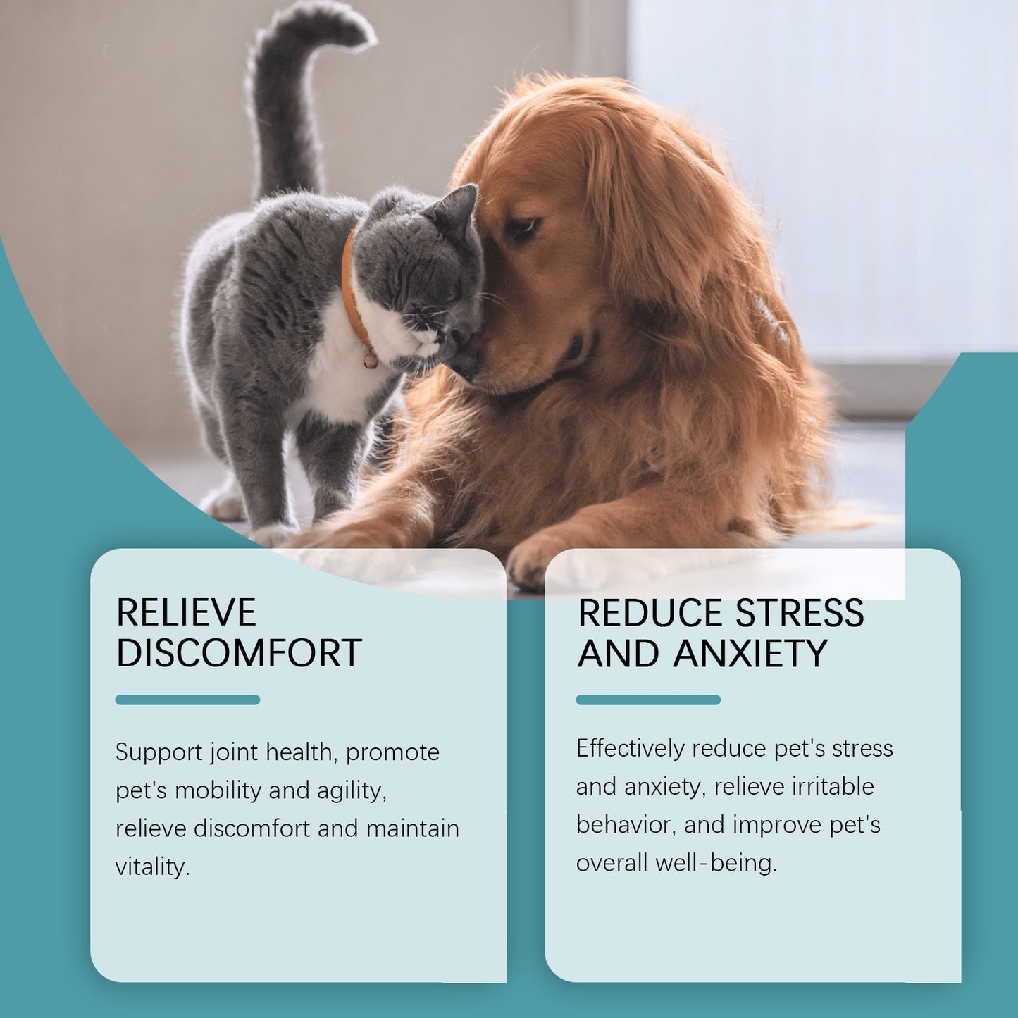 Daily Pet Food Care Supplement