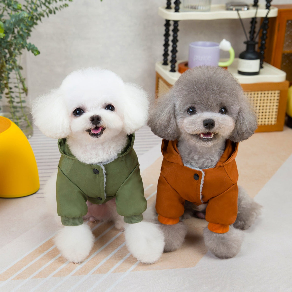 Two small dogs facing forward in green and rust-brown hooded pet coats