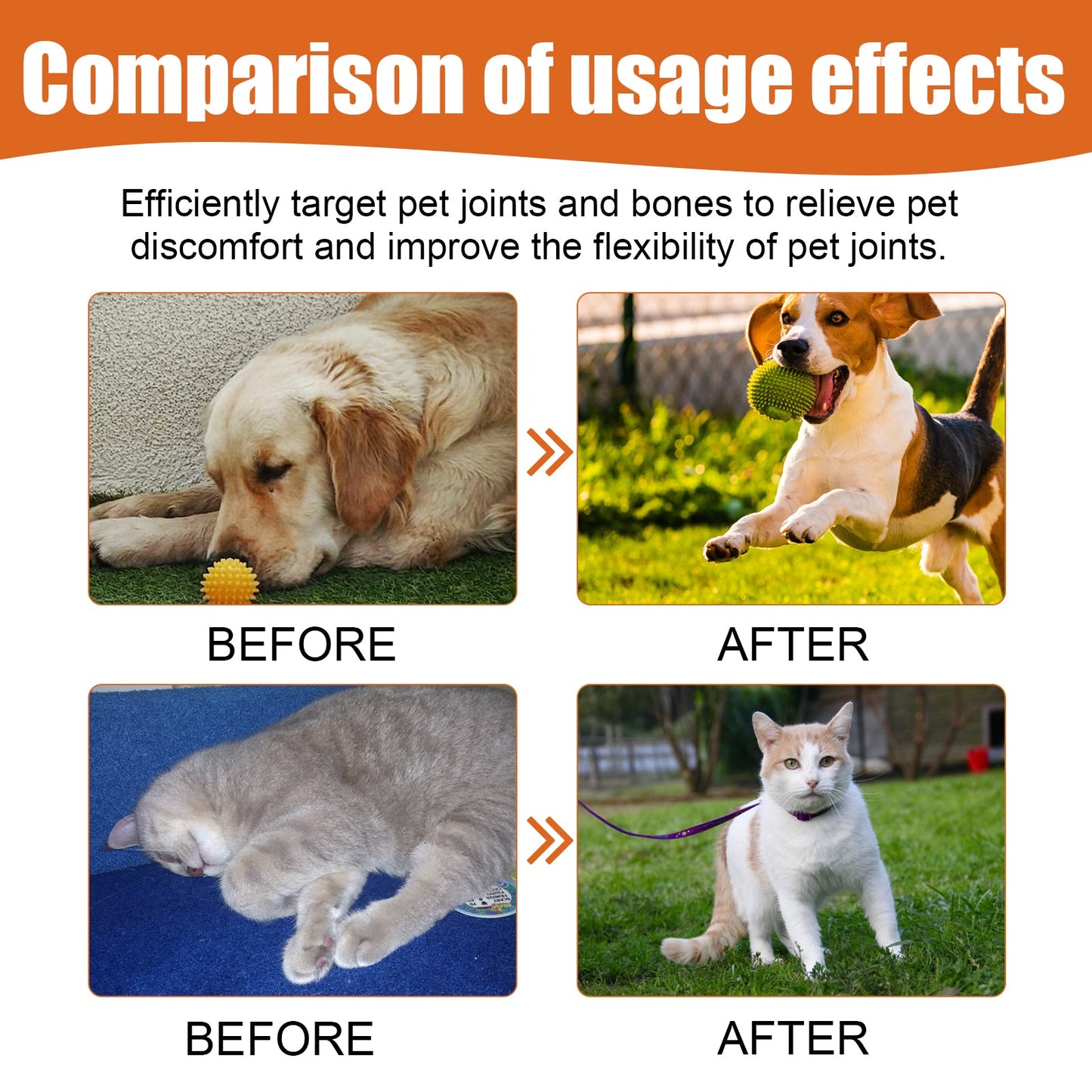 Pet Bee Venom Oil for Joint Pain Relief in Cats & Dogs