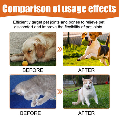 Pet Bee Venom Oil for Joint Pain Relief in Cats & Dogs