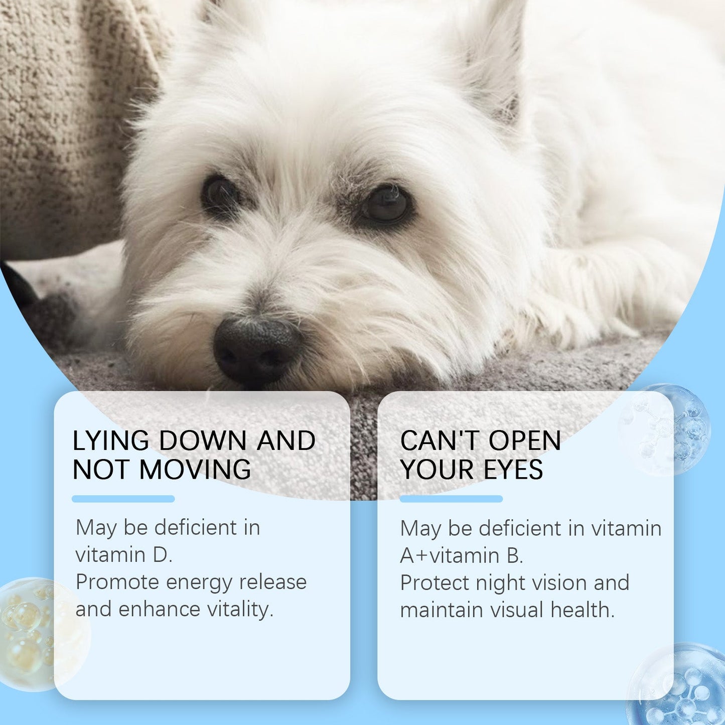 Multivitamin Nutritional Health Supplement Tablets for Dogs