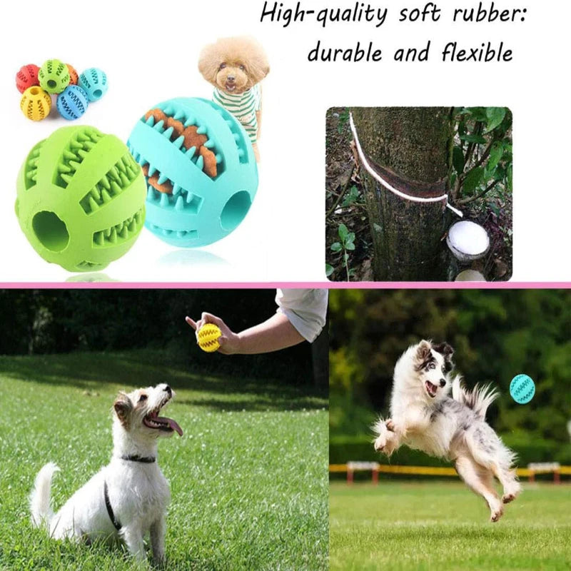 Interactive Rubber Chew Ball Toy for Cats & Dogs