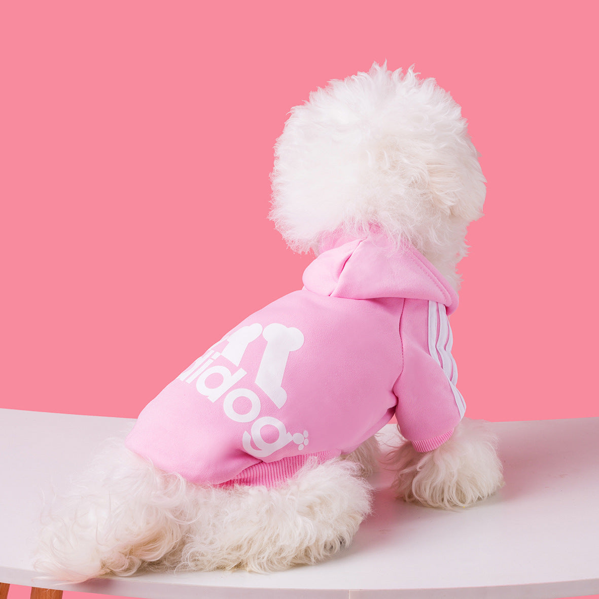 Dog wearing a pink Adidog hoodie with white back graphics and shoulder stripes
