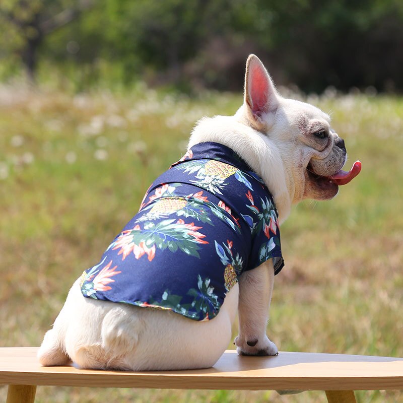 Back view of a white dog wearing a navy pineapple print pet shirt outdoors