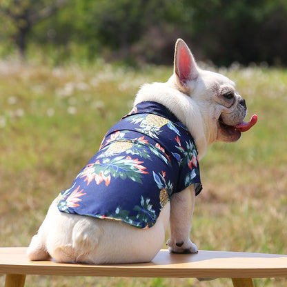Back view of a white dog wearing a navy pineapple print pet shirt outdoors