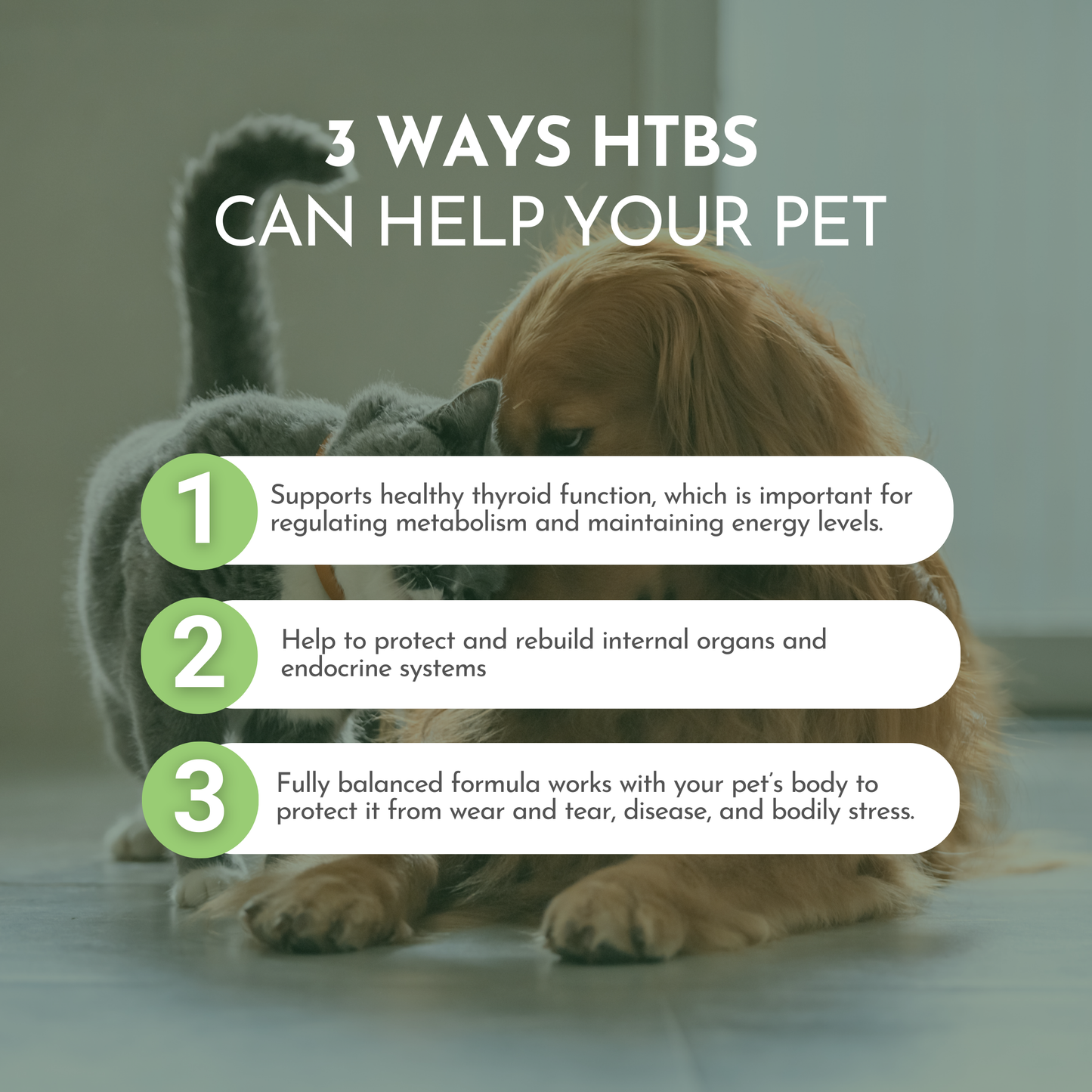 Holistic Total Body Support – Multivitamin & Glandular Support for Cats and Dogs