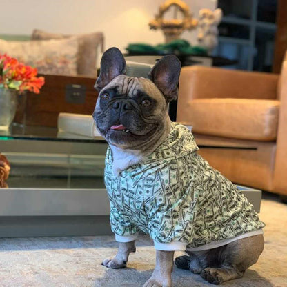 Dog seated beside a coffee table wearing a money print hoodie